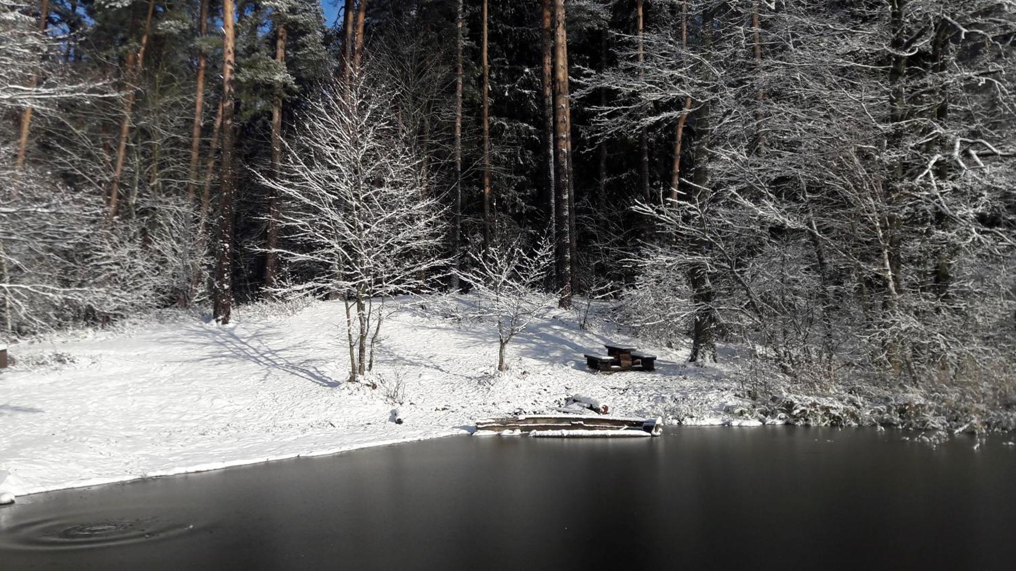 Apartamenty Jezioro I Las Mazury Powalczyn المظهر الخارجي الصورة