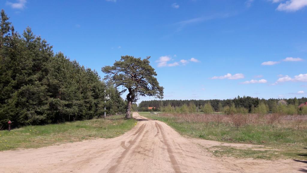 Apartamenty Jezioro I Las Mazury Powalczyn المظهر الخارجي الصورة